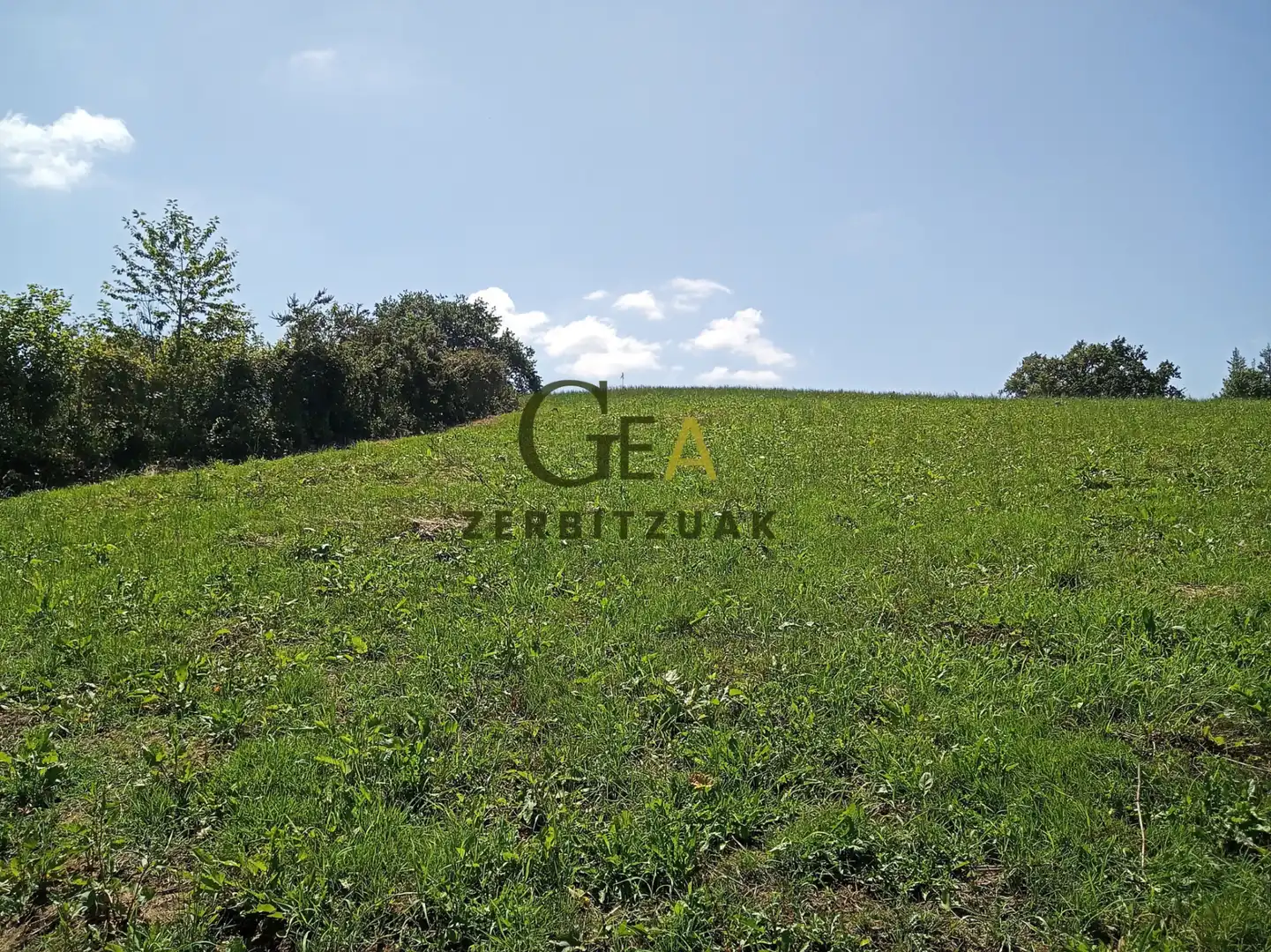 Land for sale in Asteasu