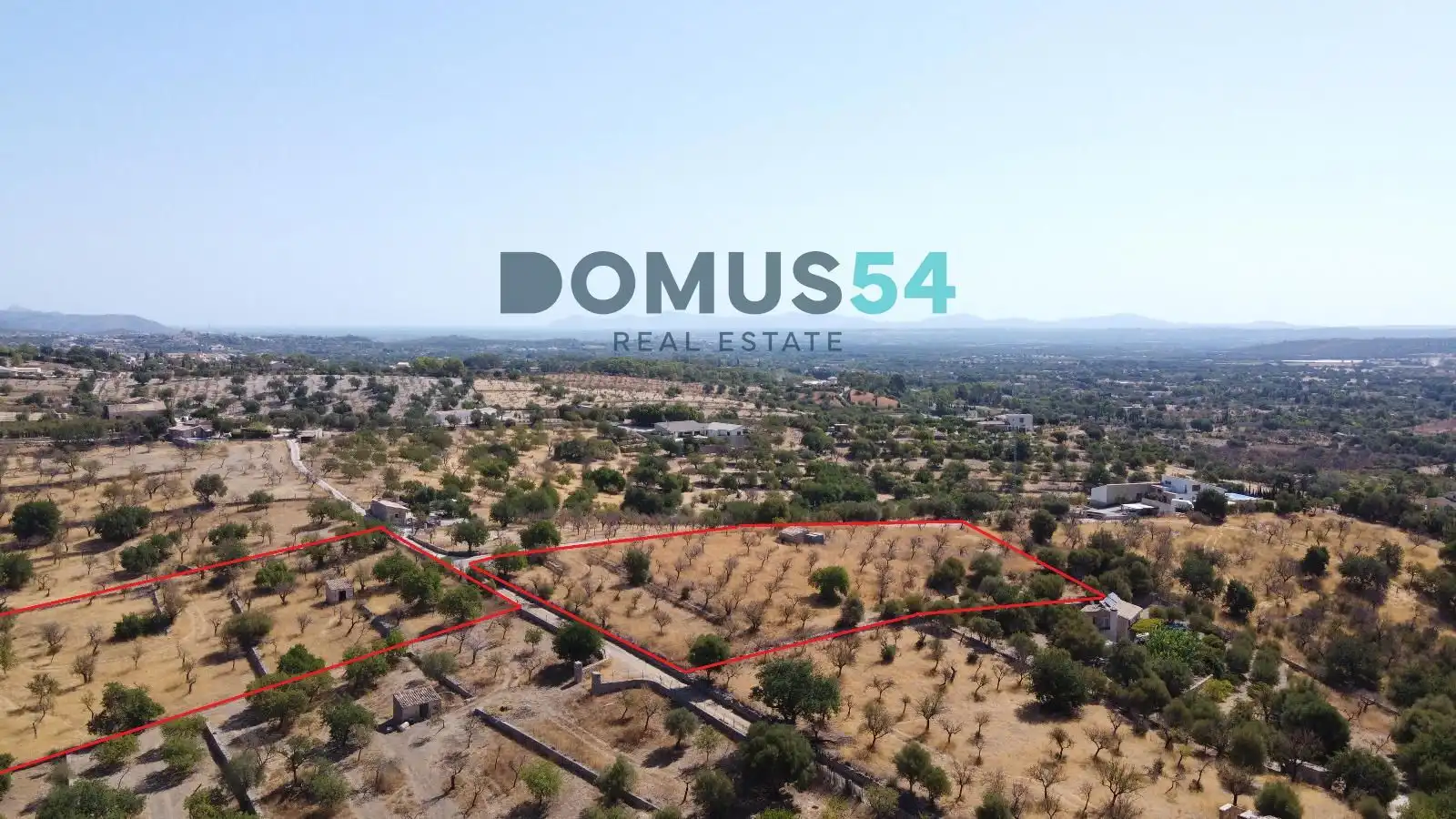 Land for sale in Selva