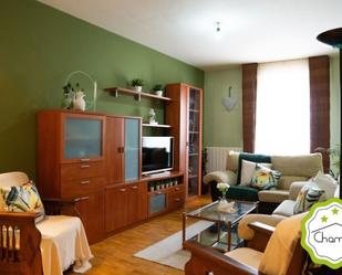 Sala d'estar de Pis en venda en Casalarreina
