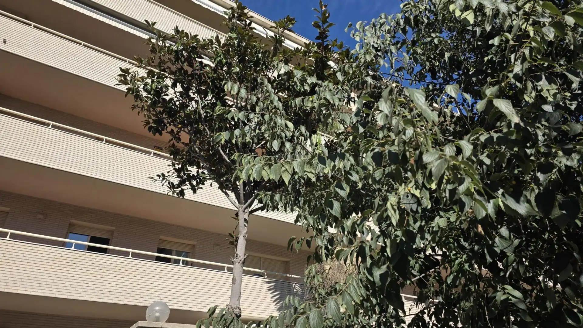 Vista exterior de Pis en venda en Salou amb Calefacció, Terrassa i Traster