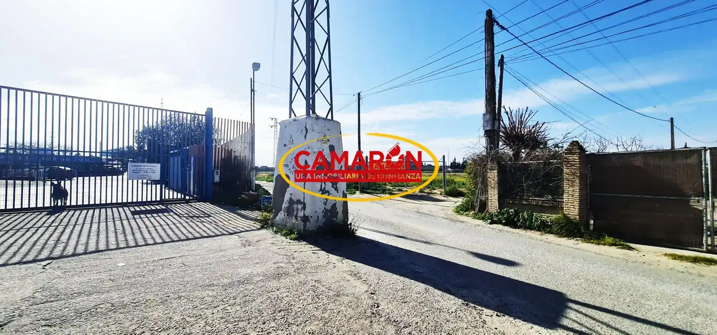 Terrenos y solares en venta en Coria del Río, imagen 2