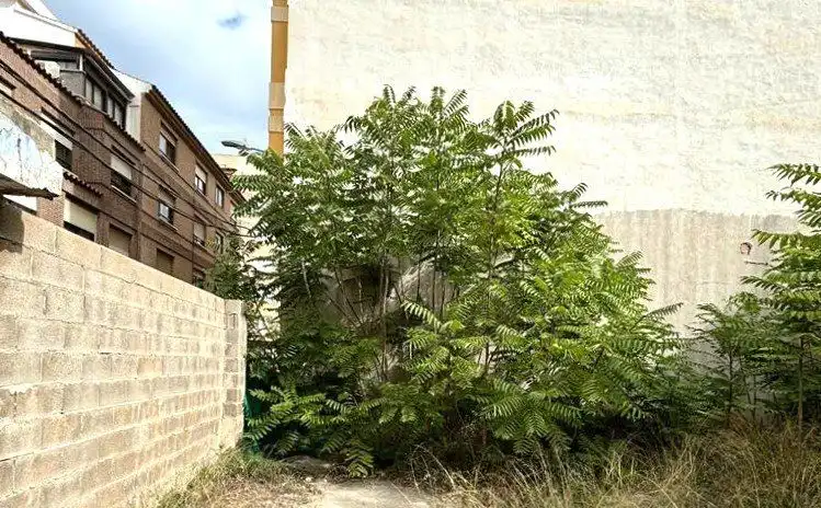 Terreny residencial en venda a Sur, imagen 4