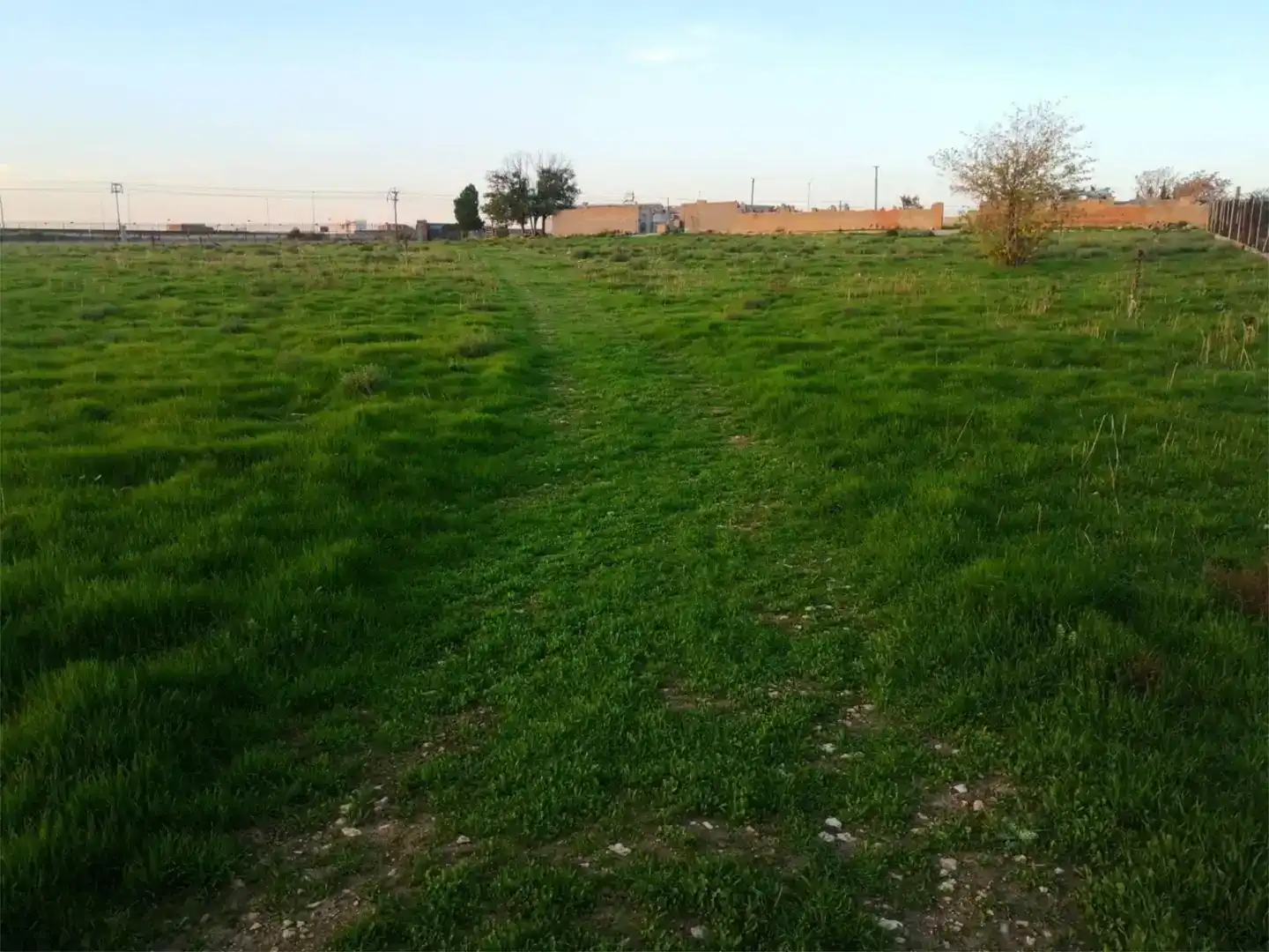 Finca rústica en venta en Daimiel, Ciudad Real