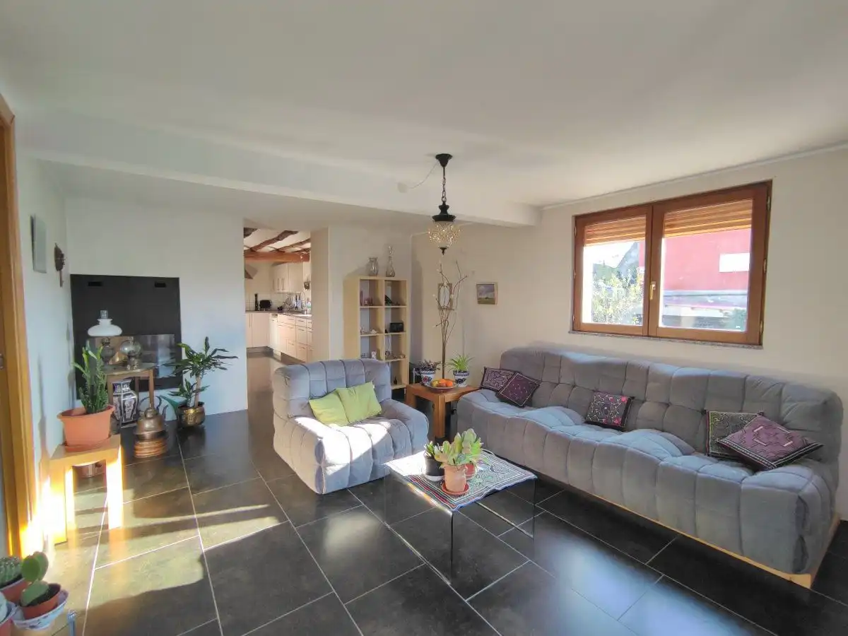Living room of Houses for sale in Graus  with Private garden, Storage room and Sauna