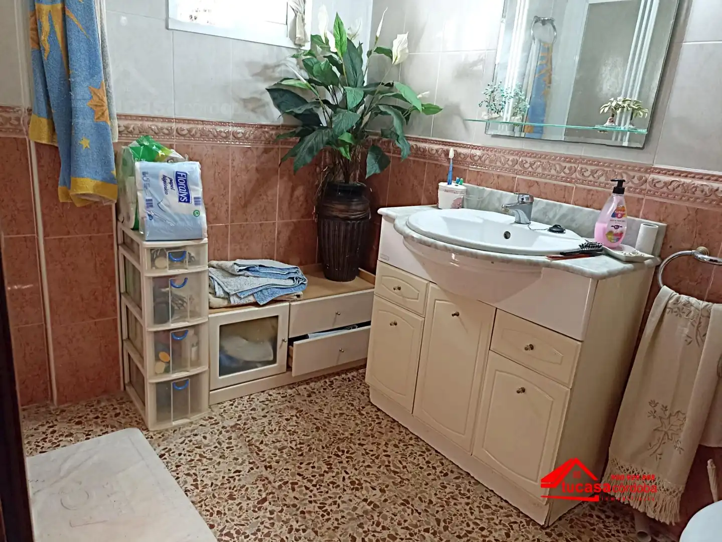 Bathroom of Country homes for sale in Córdoba  with Terrace, Storage room and Swimming Pool