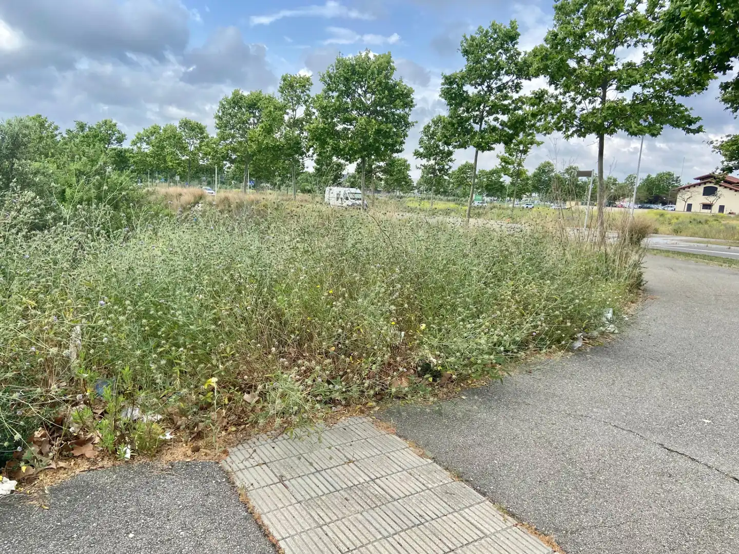 Terreno industrial en venta en Llevant, imagen 9