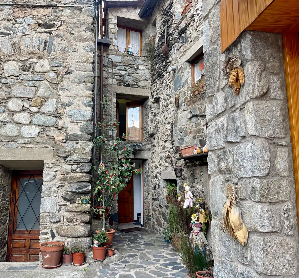 Vista exterior de Finca rústica en venta en Setcases con Calefacción, Amueblado y Horno