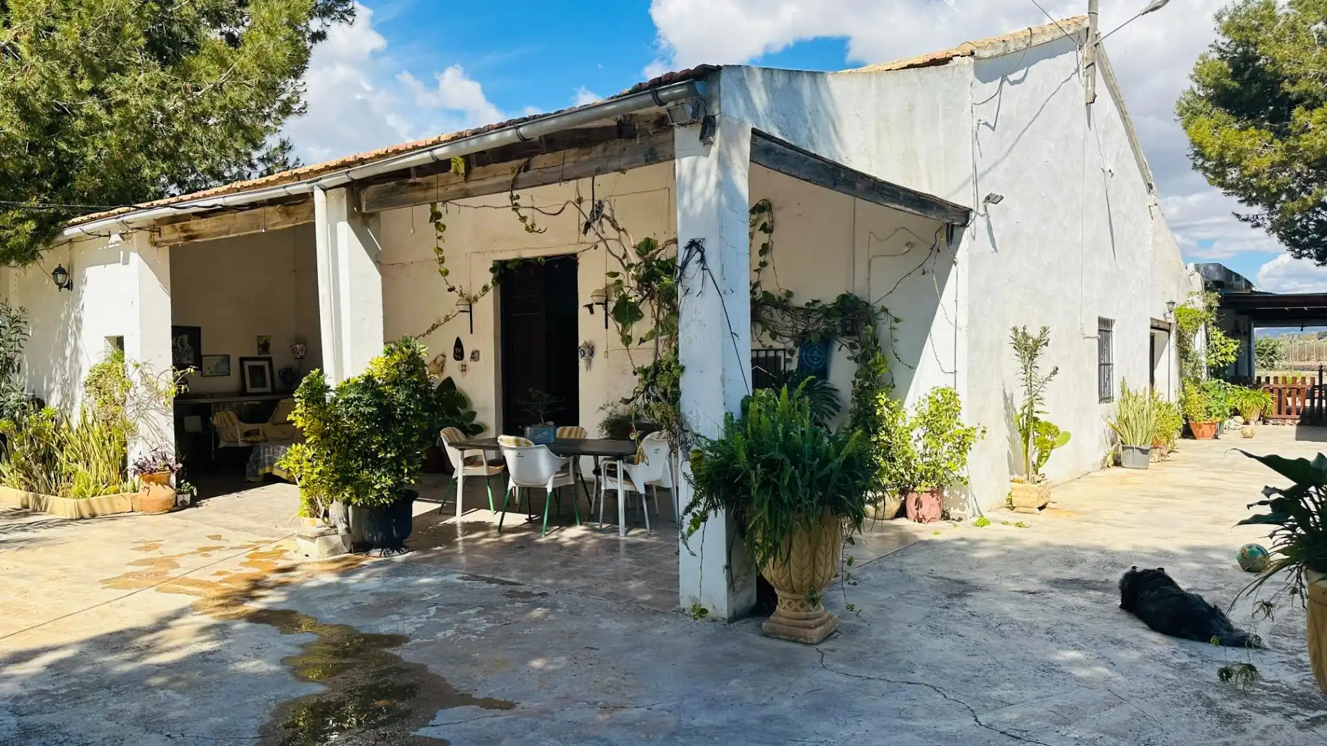 Vista exterior de Casa o xalet en venda en Elche / Elx amb Jardí privat, Traster i Piscina