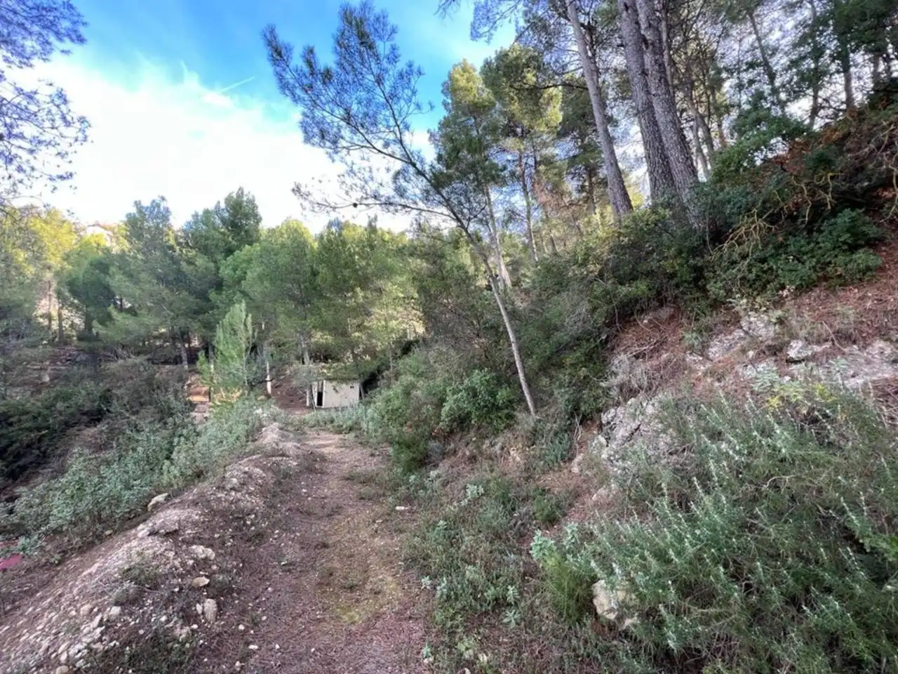 Villa avec jardin à vendre à Penàguila, imagen 81