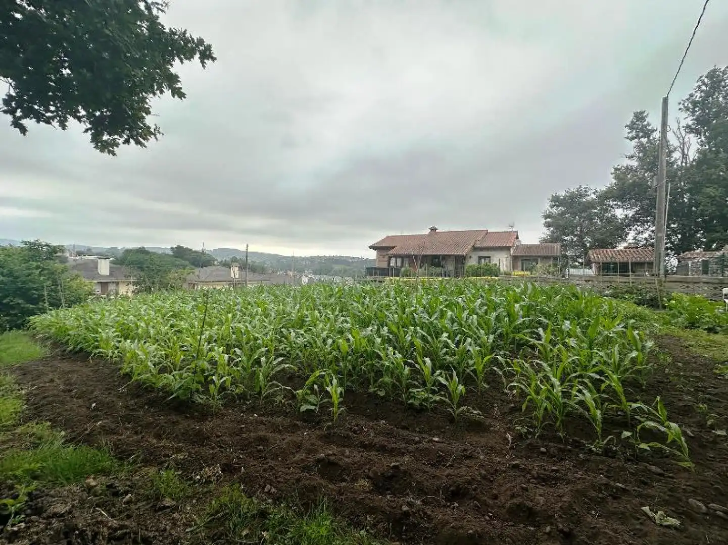 Land for sale in Reocín