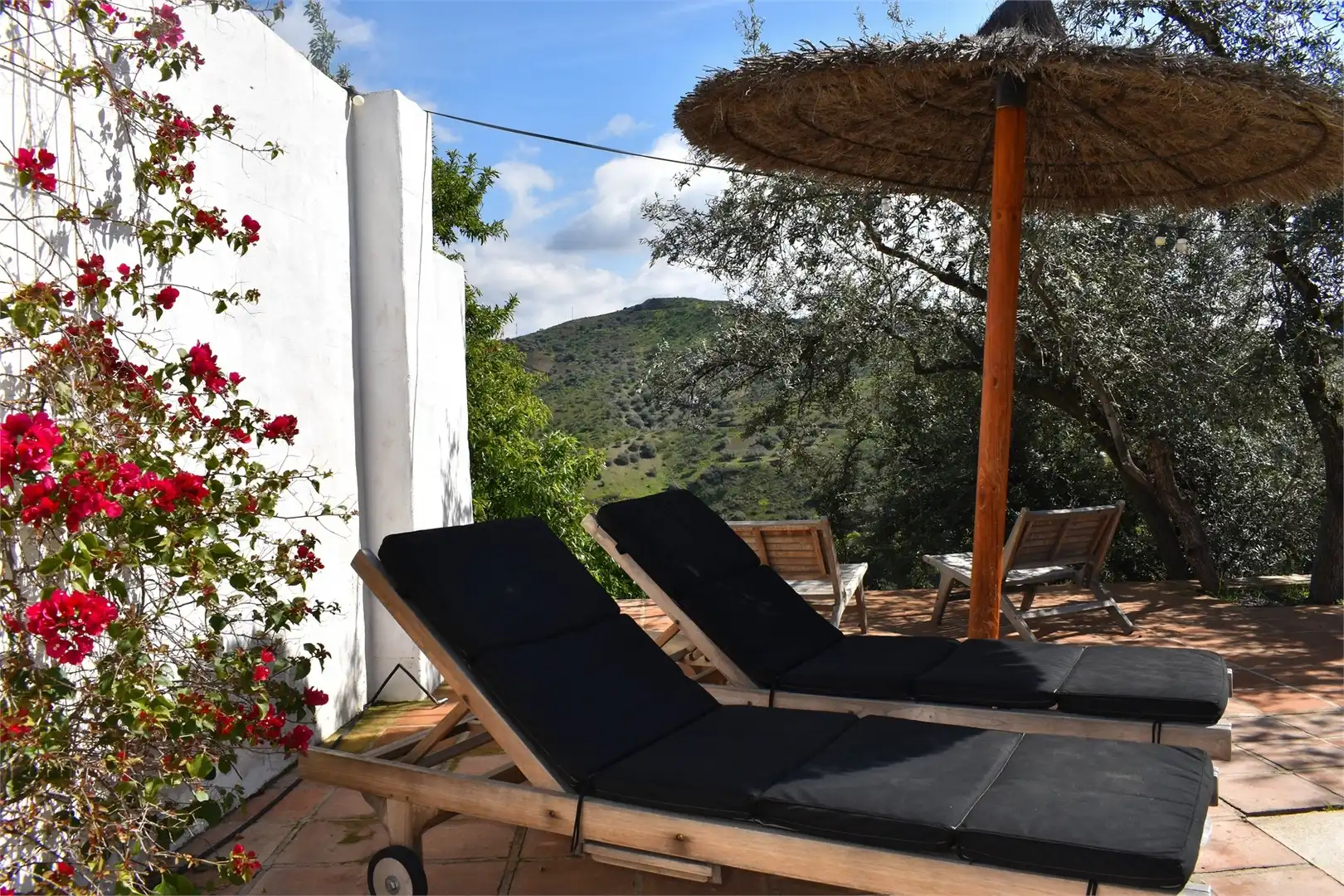 Jardí de Casa o xalet en venda en Arenas amb Aire condicionat, Jardí privat i Terrassa