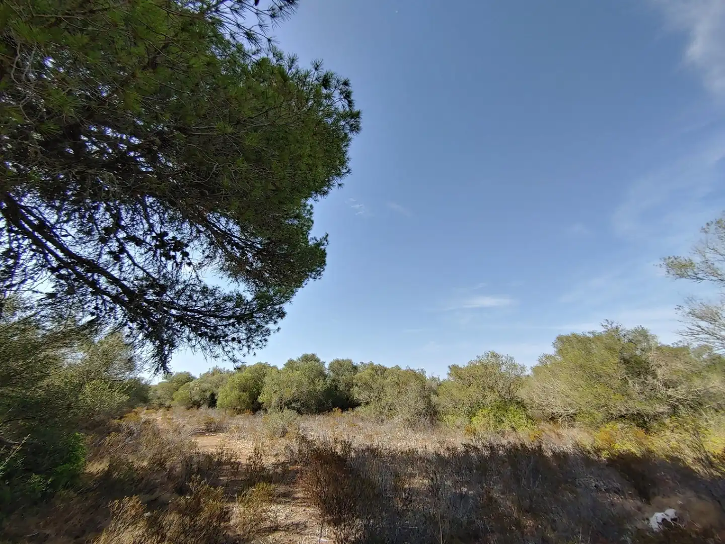 Residencial en venta en Polígono Parcela 12, Cala Pi - Vallgornera
