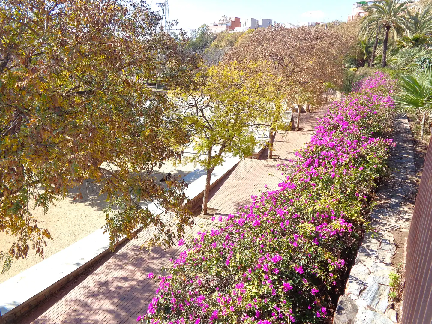 Garden of Garage for sale in L'Hospitalet de Llobregat  with Alarm