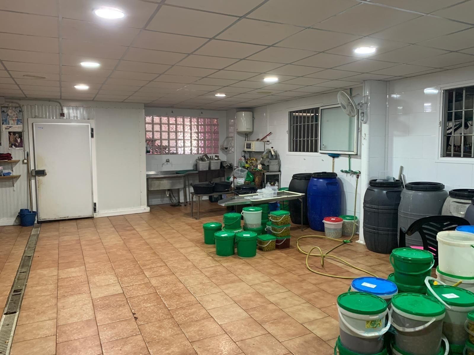 Industrial buildings for sale in Molina de Segura