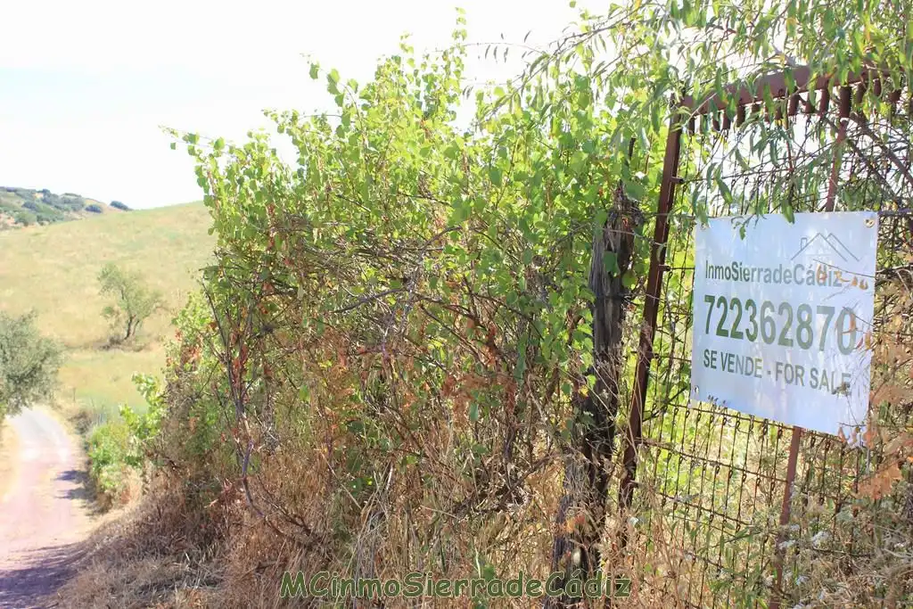 Finca rústica en venta en Montecorto