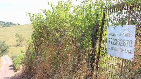 Photo 4 of Country homes for sale in Monjas. Montecorto, Partidas Norte, Ronda