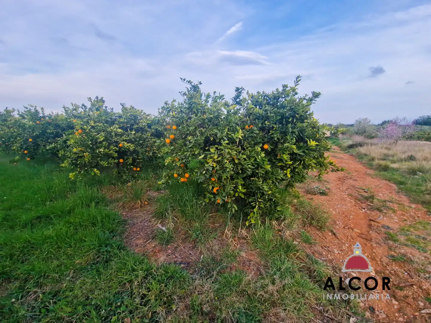 Finca rústica en venda en Càlig