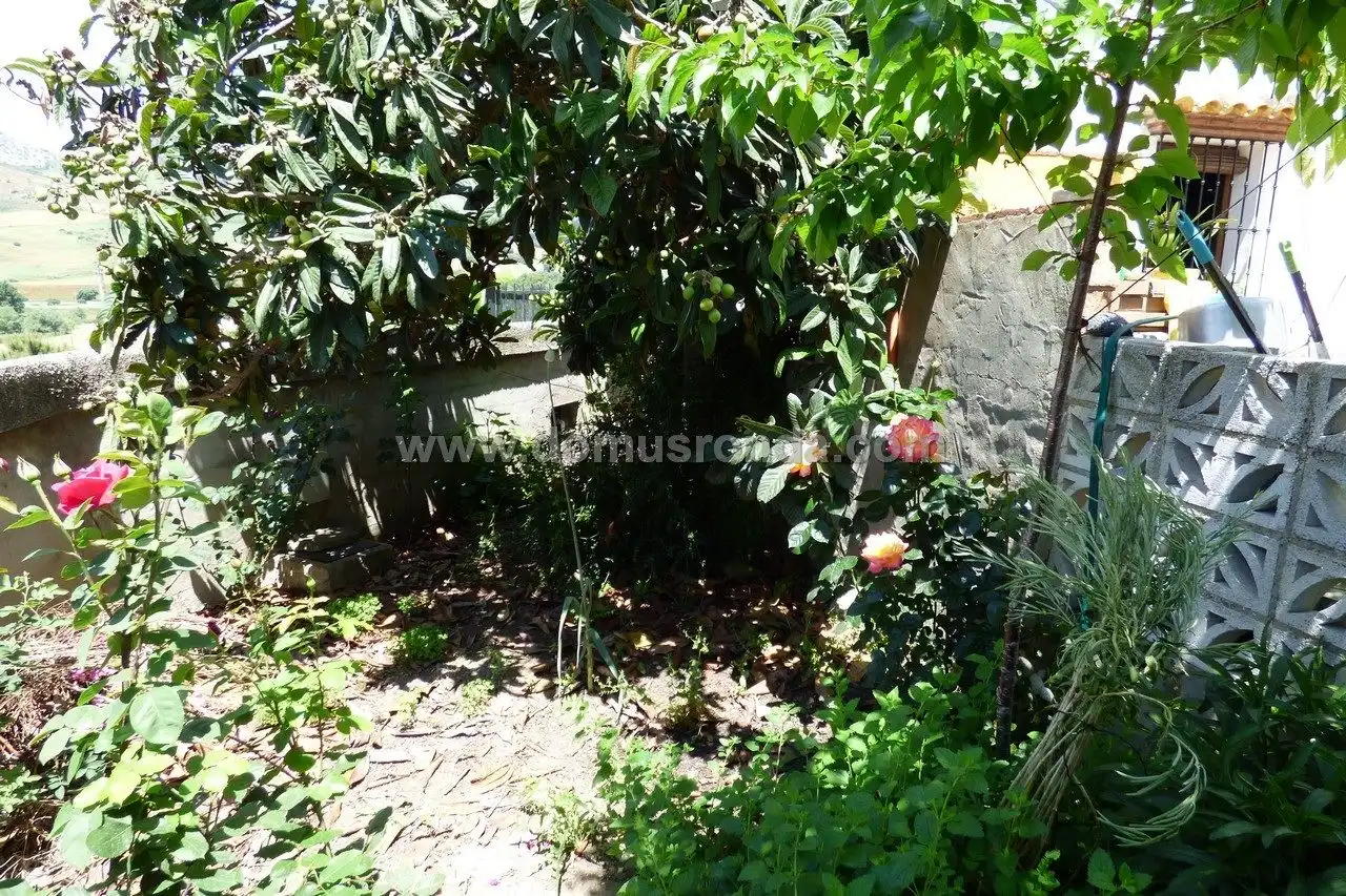 Casa rústica en venta en Partidas Norte, imagen 17