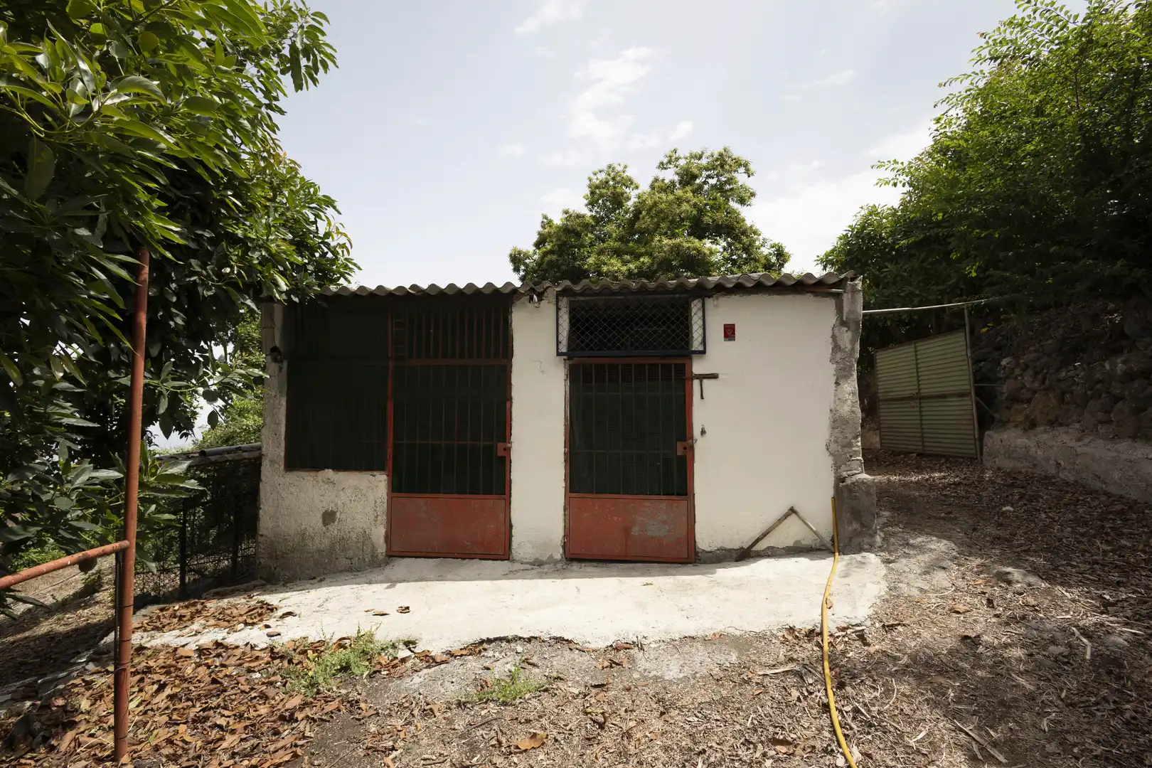 Exterior view of Houses for sale in La Orotava  with Private garden, Terrace and Storage room