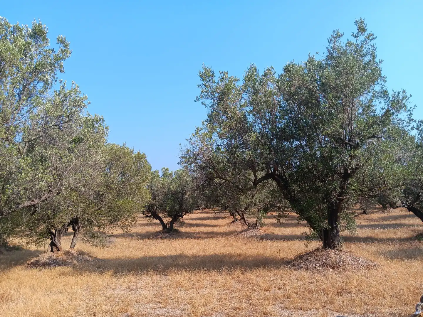 Residencial en venta en Tortosa
