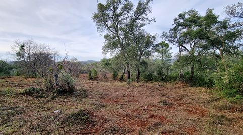 Foto 4 von Grundstücke zum Verkauf in Jabugo, Huelva
