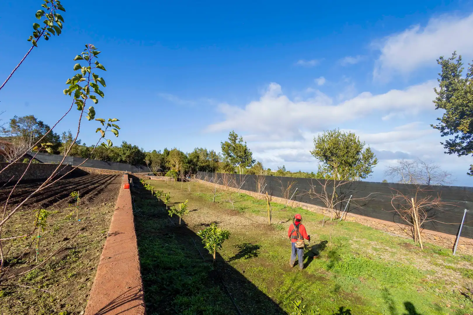 Jardí de Finca rústica en venda en El Tanque amb Calefacció, Jardí privat i Terrassa