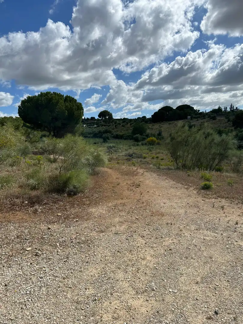 Terrain rustique à vendre à Arcos de la Frontera, imagen 6