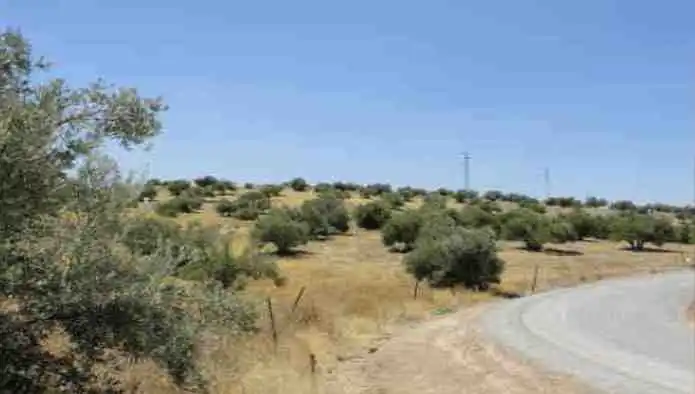 Terreni e lotti in vendita a Pj Cerro Moreno, imagen 9