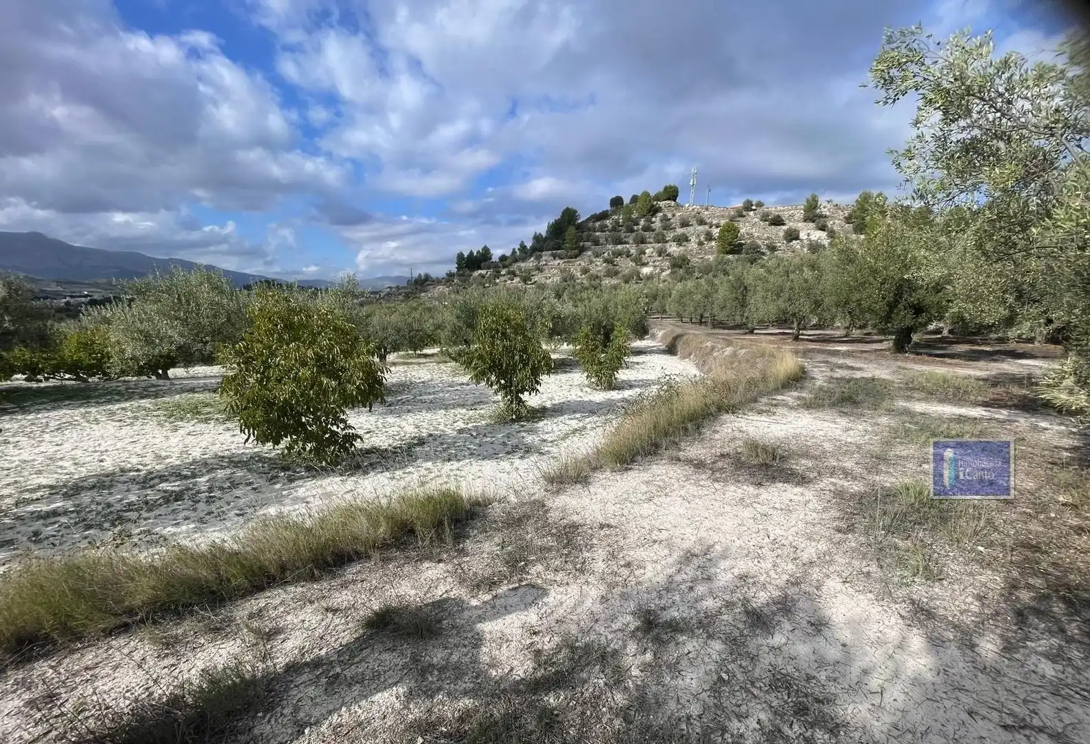 Residential land for sale in Penàguila