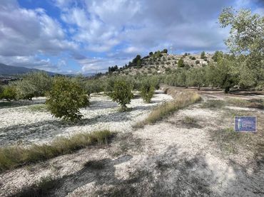 Wohnbaugrundstück zum Verkauf in Penàguila