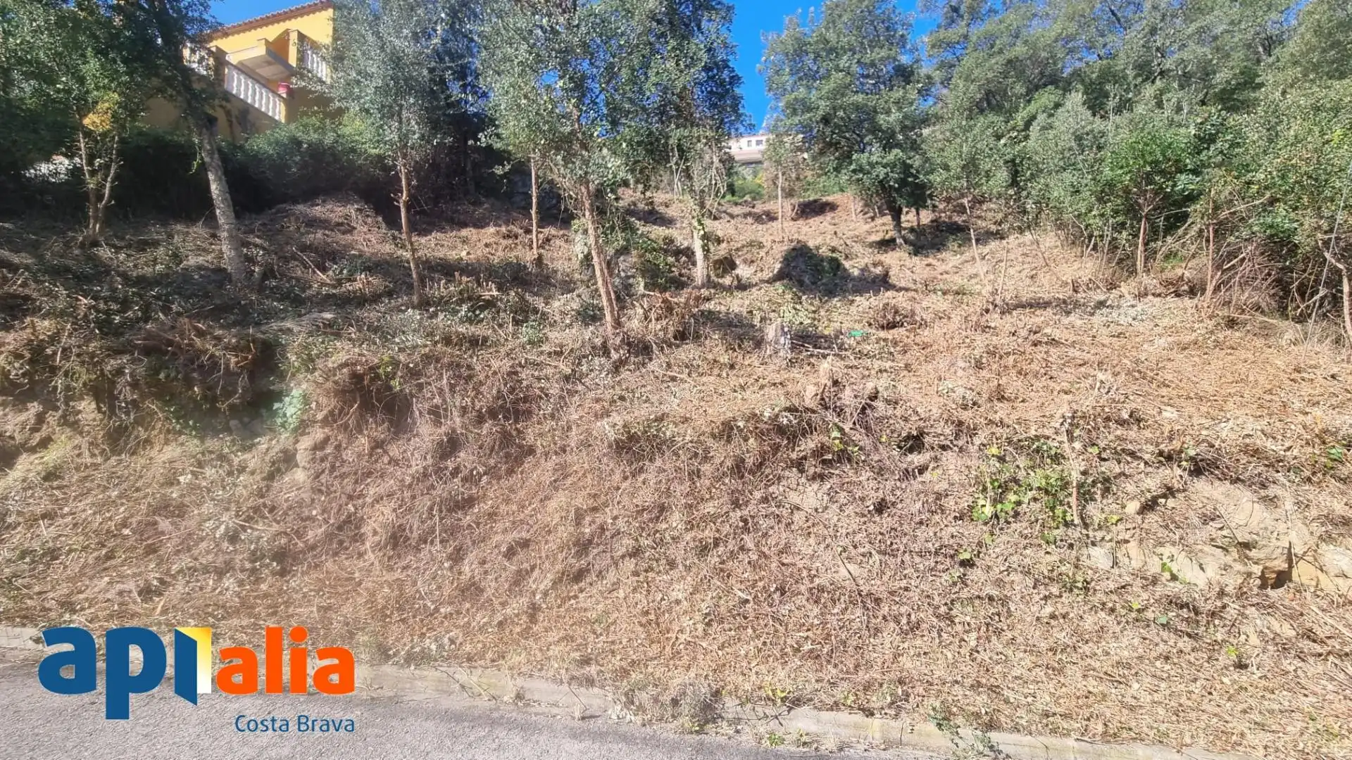 Terreny residencial en venda a Xiprer 28, imagen 7