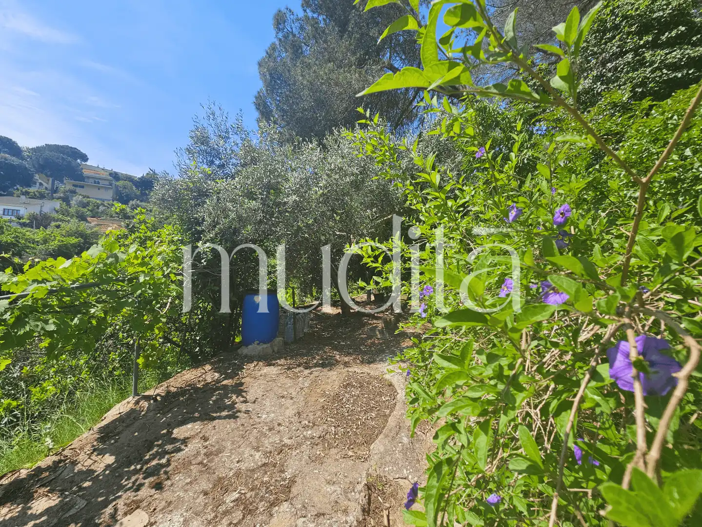 Terreno residencial en venta en Joan Maragall i Gorina, imagen 15
