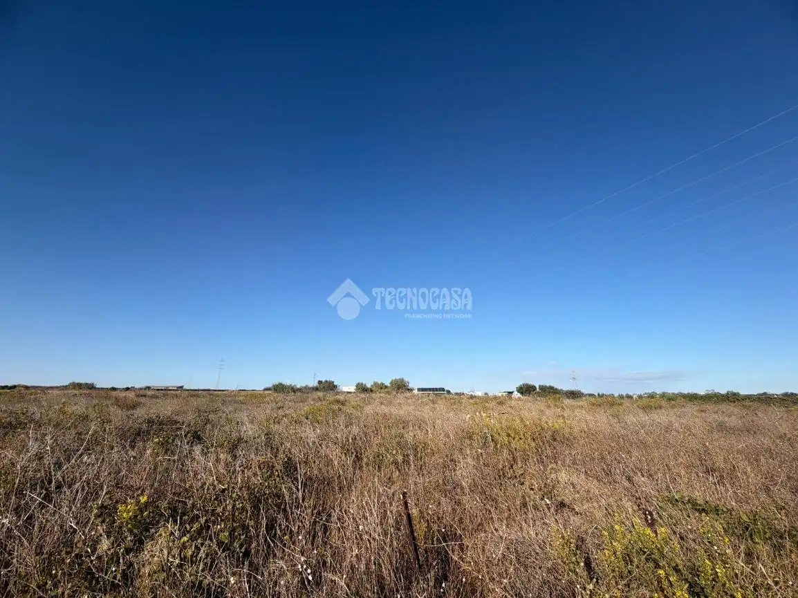 Terreno rústico en venta en Los Franceses – La Vega, imagen 2