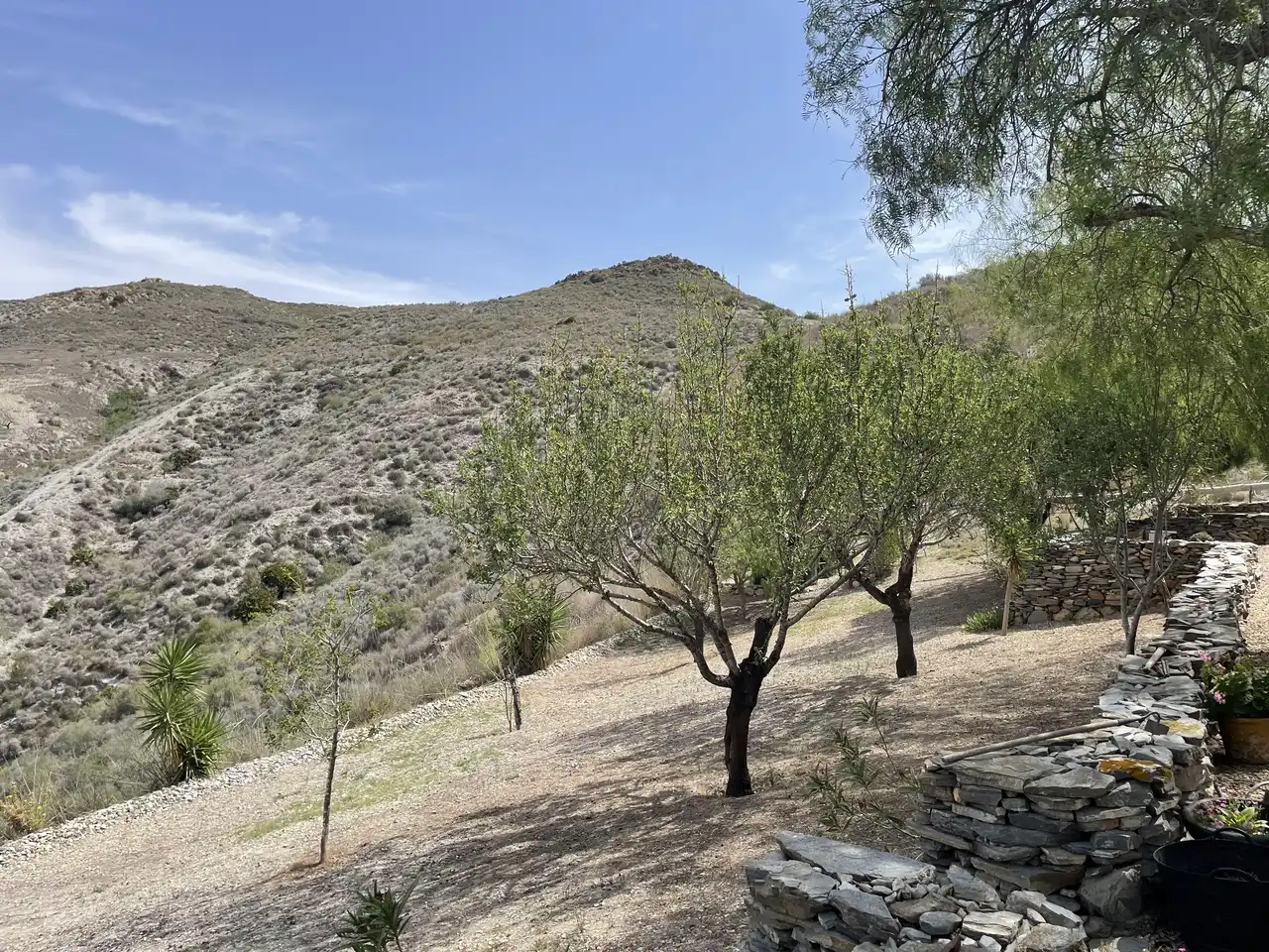 Finca rústica en venda en Cartagena
