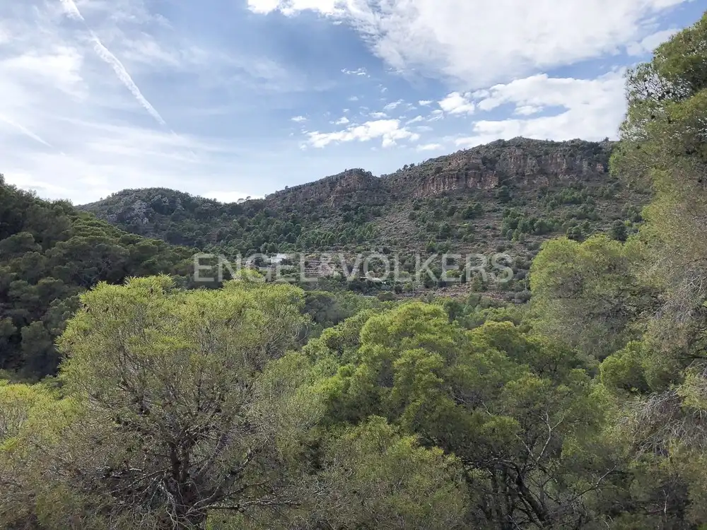 Lands and plots for sale in Serra