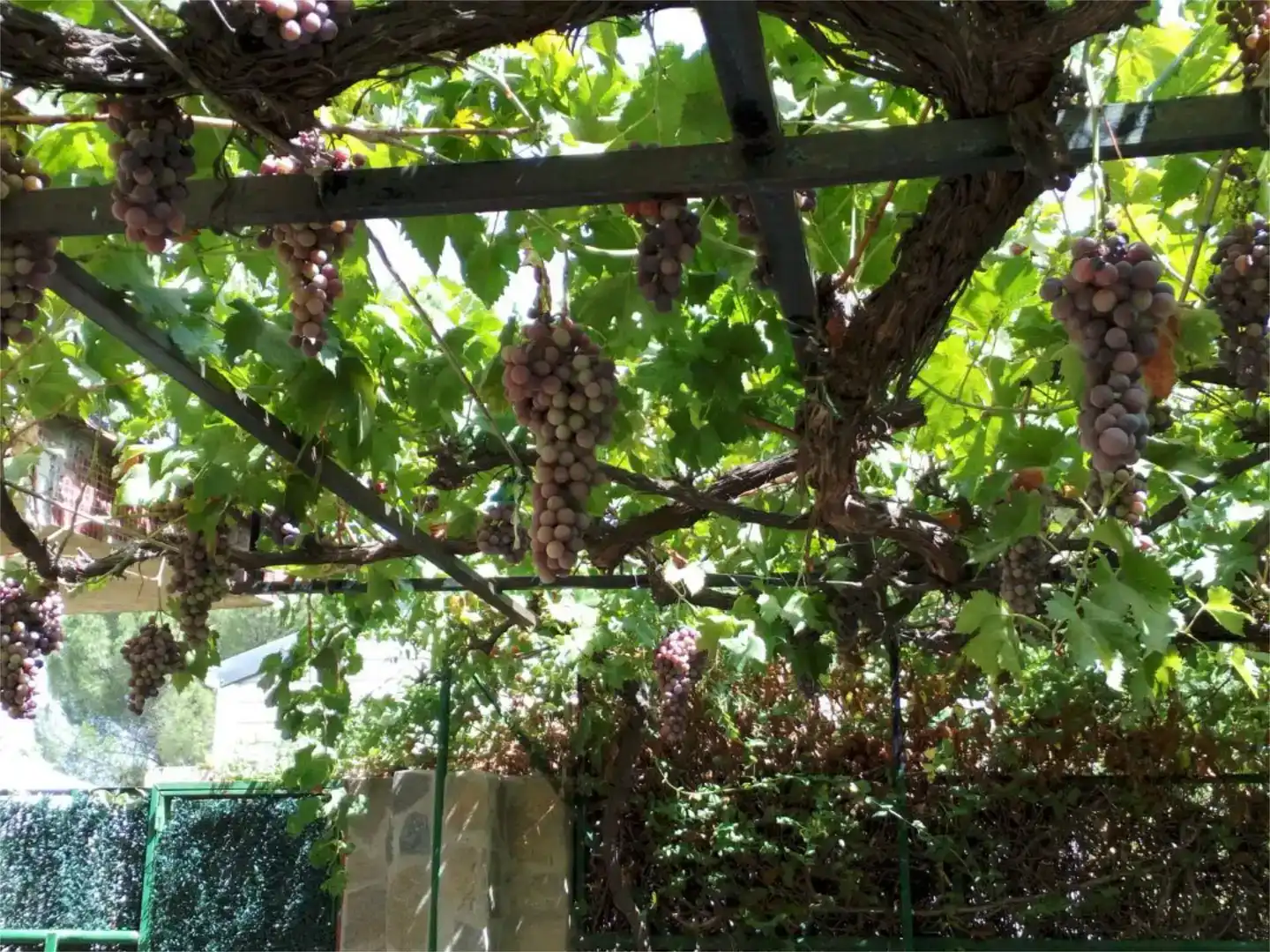 Jardí de Casa o xalet en venda en Escalona, Toledo