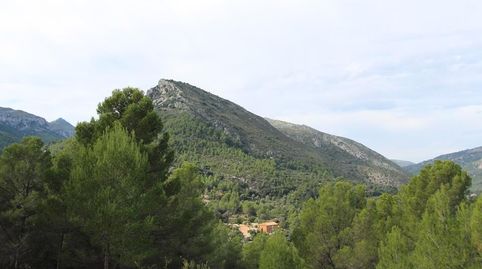 Imatge 4 de l'anunci