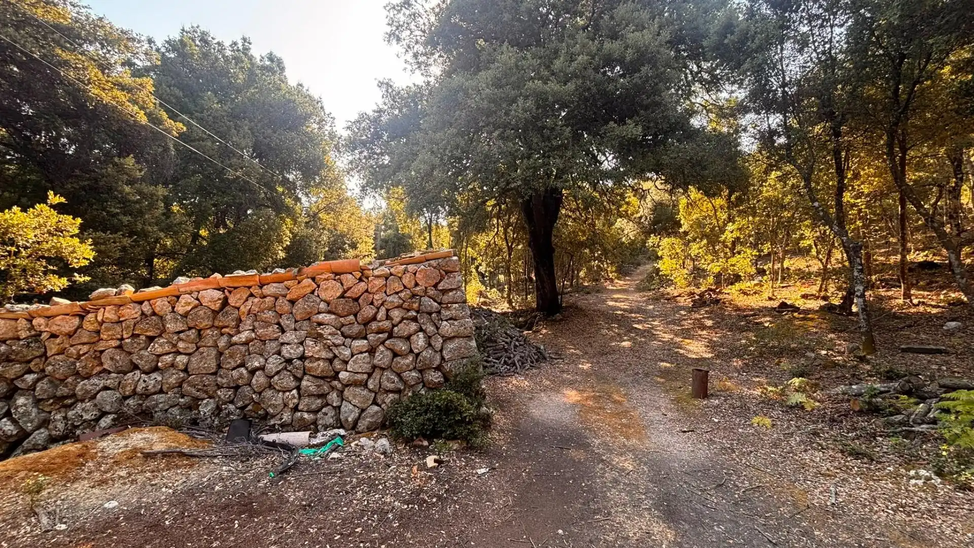 Country homes for sale in Escorca  with Private garden and Terrace
