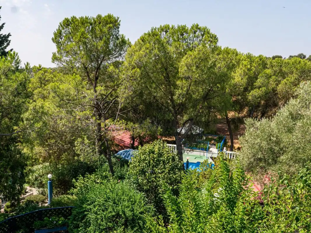 Casa o chalet en venta en C. Goya, Villa del Prado