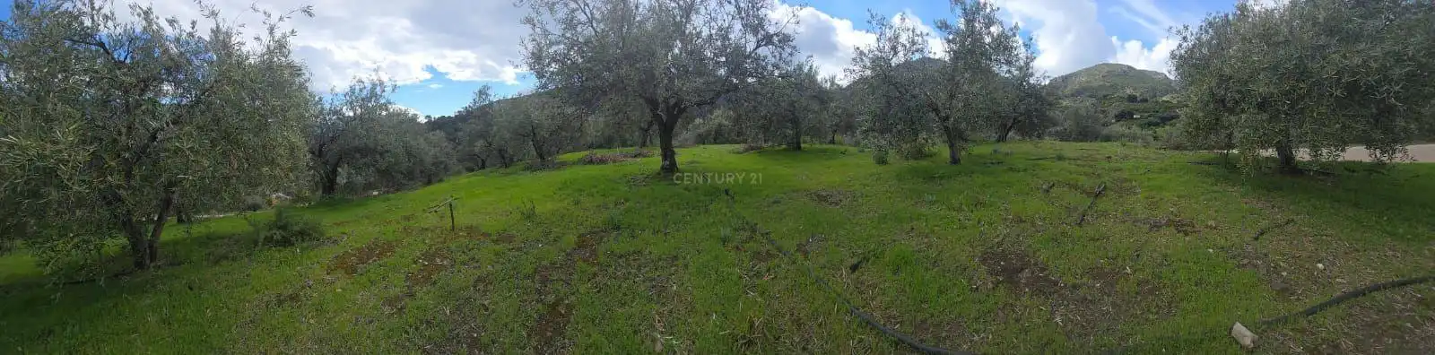 Terreno rustico in vendita a Polígono 11 Parcela 96 EL CERRILLAR. LOS GUAJARES (GRANADA)