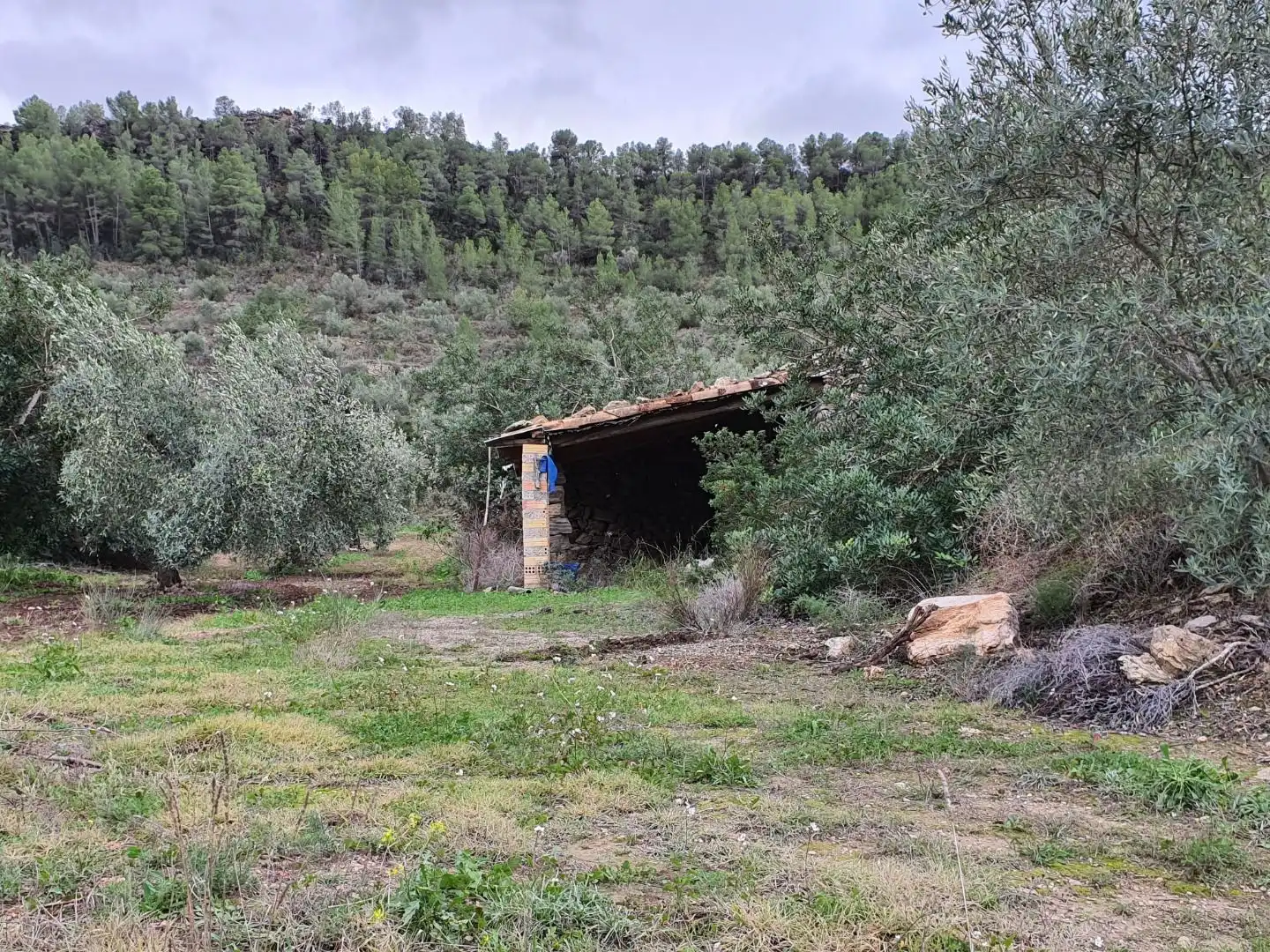Maison à vendre à Benifallet, imagen 5