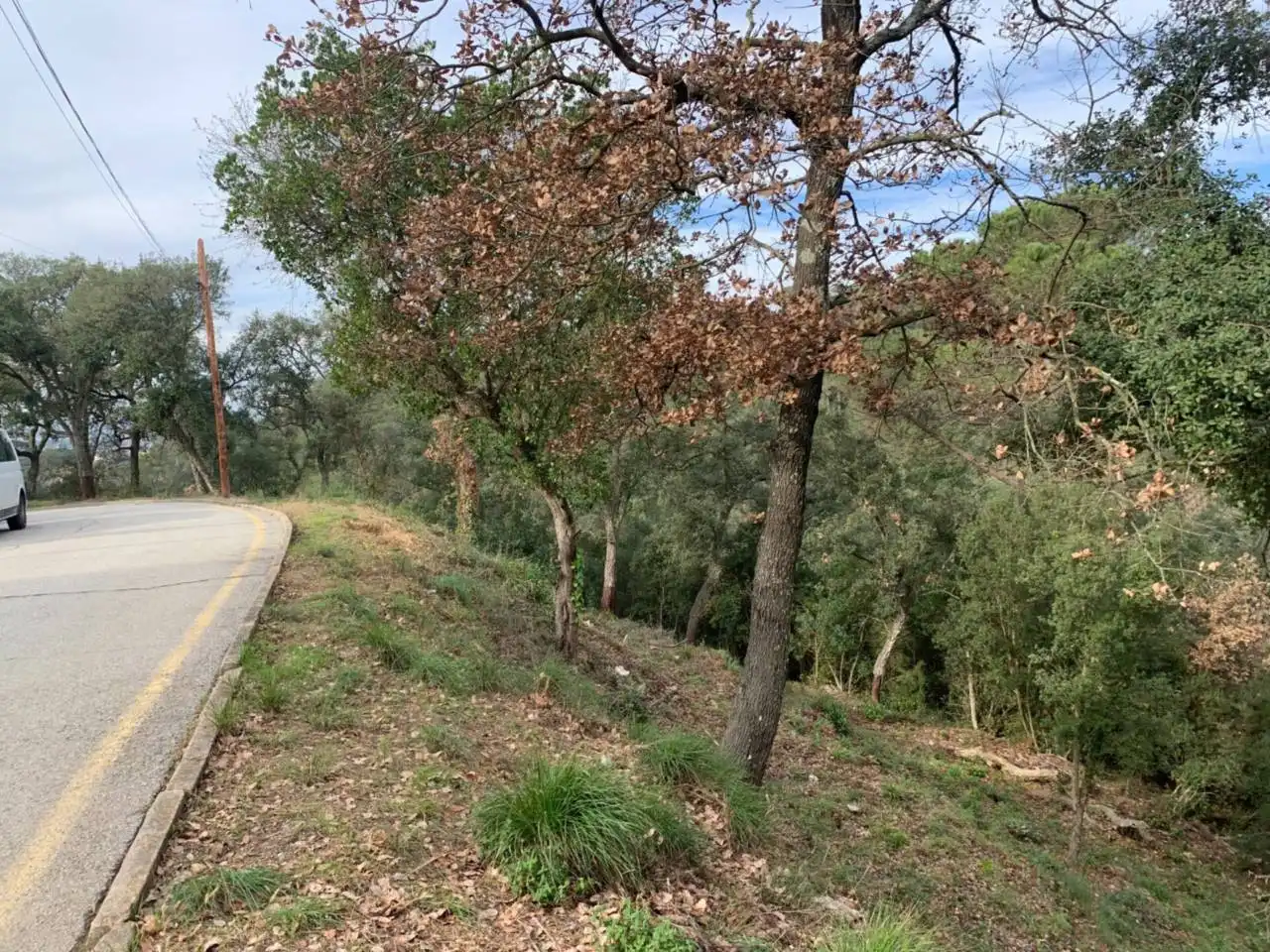 Rural land for sale in Calle llanega blanca 900