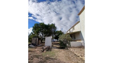 Foto 4 de Finca rústica en venta en Caudete, Albacete