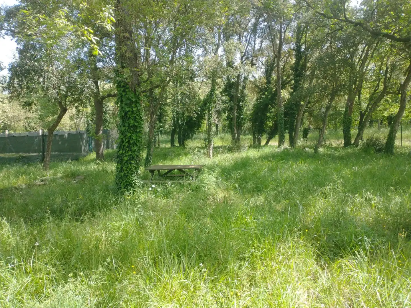 Residential land for sale in Carrer Salvador Dalí 13, imagen 5
