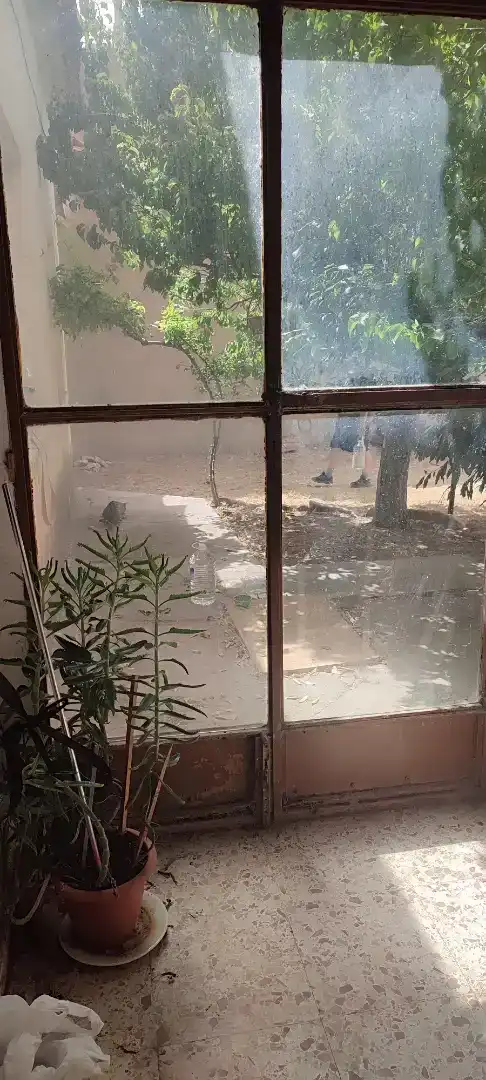 Jardí de Planta baixa en venda en Higueruela