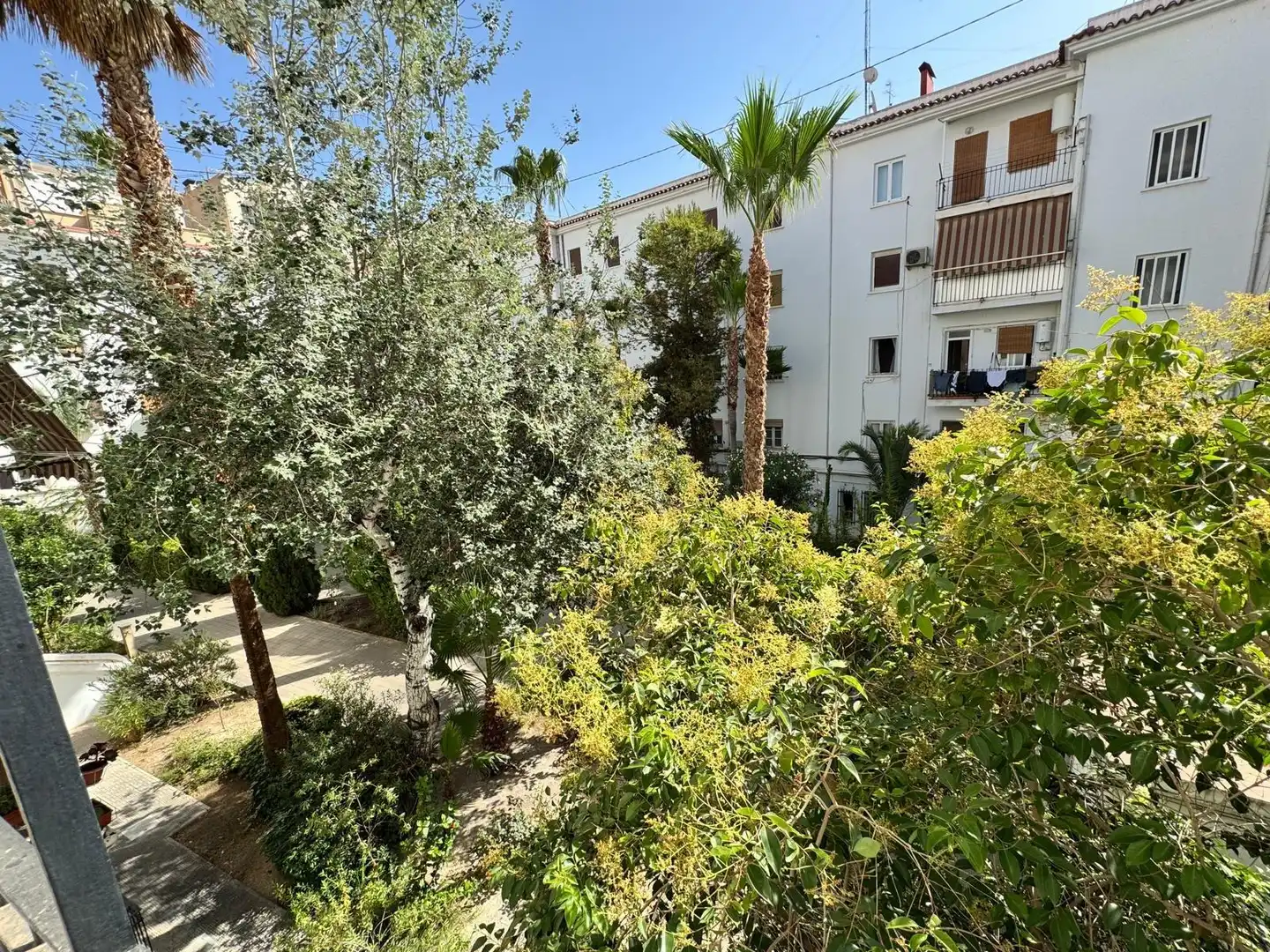 Wohnungen zur Miete in Calle Calle Álvarez Sereix, 4, Barrio del Centro