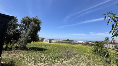 Foto 3 de Terreny en venda a Rompeserones, Las Palmeras - Dehesilla, Sanlúcar de Barrameda