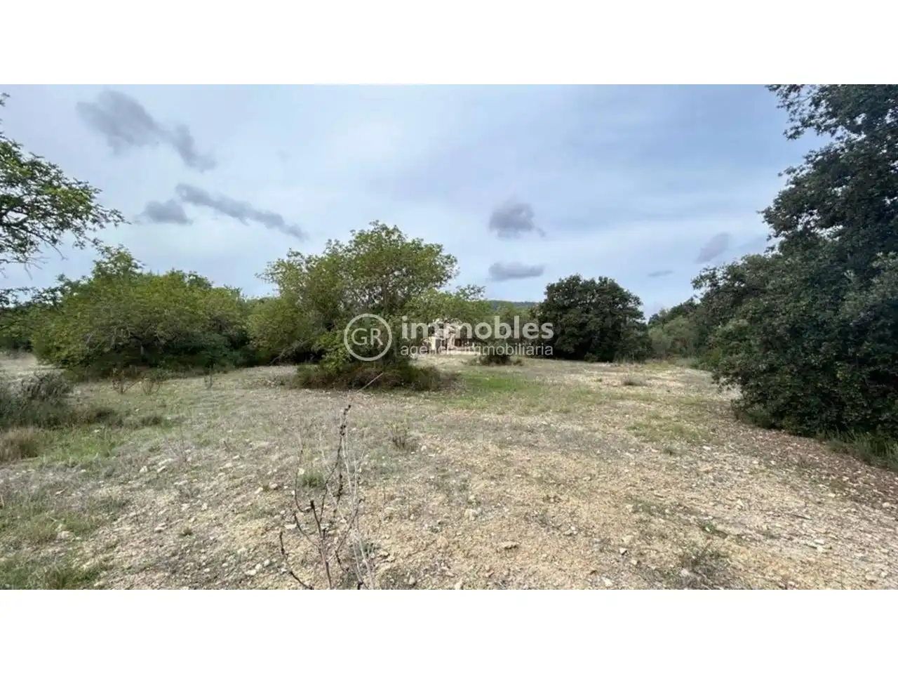 Terreny rústic en venda a Lloseta, imagen 7