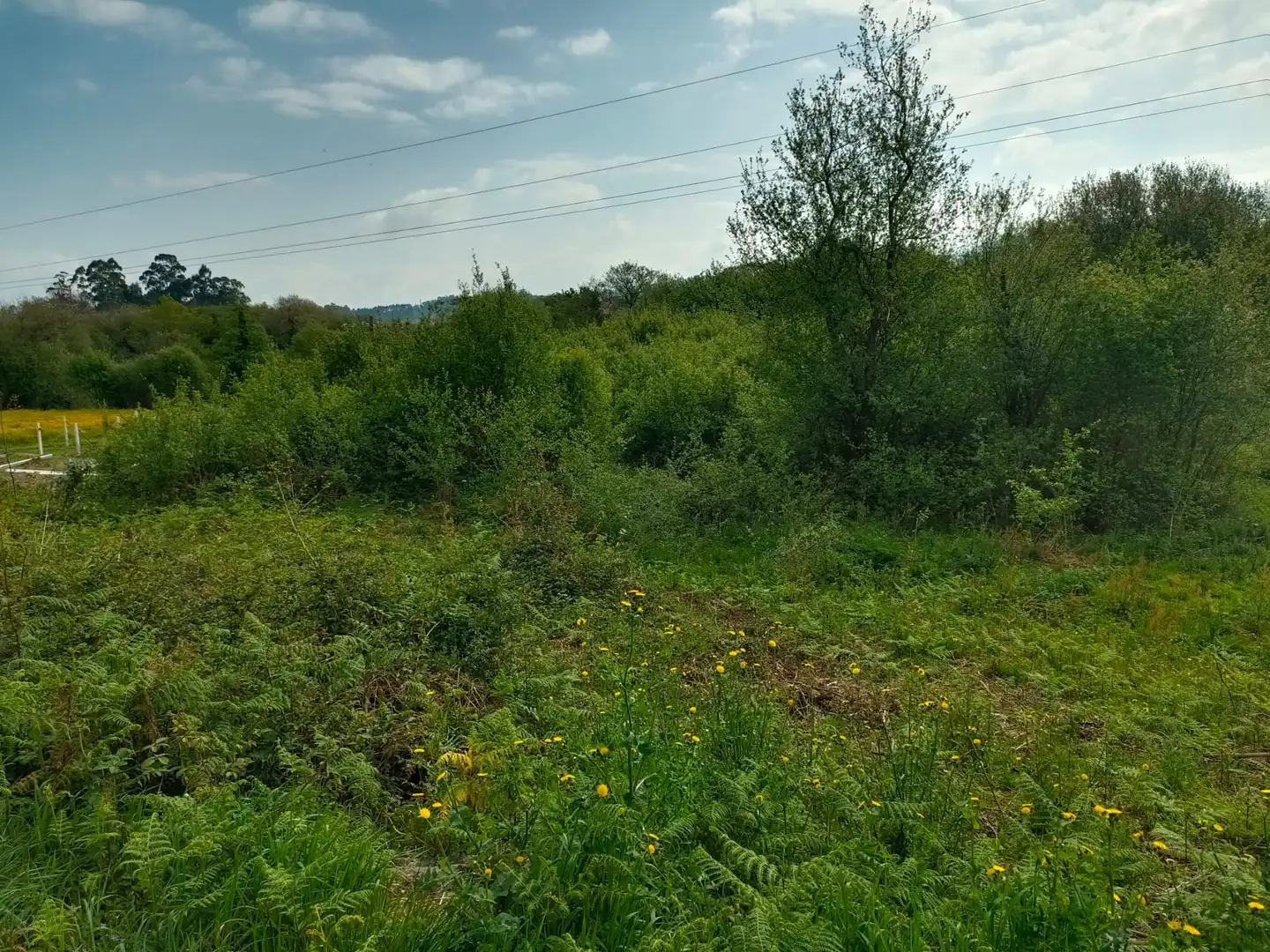 Terrenos y solares en venta en Ribadumia, imagen 5