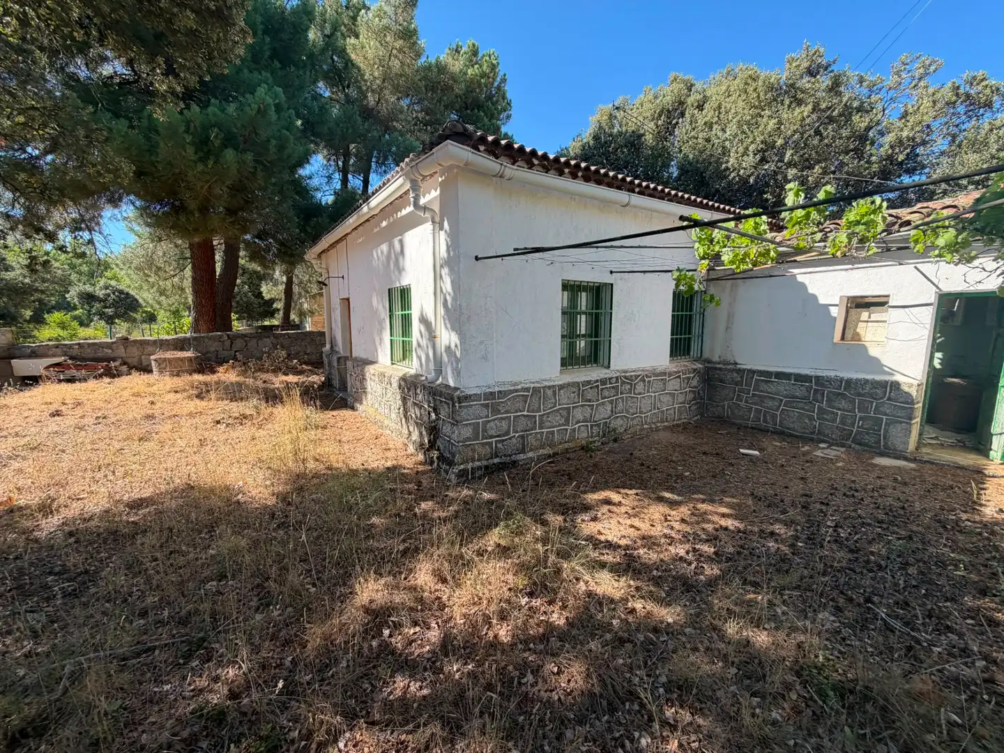 Vista exterior de Finca rústica en venta en Muñana